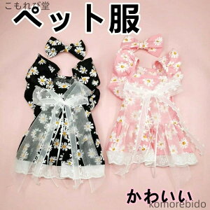 yzybg t   XJ[g  ^p K _炩  lC y U LɂœK `F[ hX