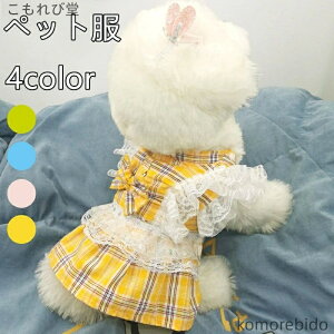 yzybg   킢 vZX hX lN^C ^ m ߑ tHp Oh[ efBxA R[M[