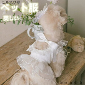 yzybg ̎qs[X hX vZX I[KW[ { t Rbguh phX ^ ^ zCg tĕ