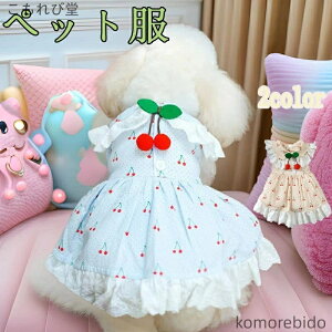 yzybg   ^ hX t  [X t XJ[g ʋCQ o p[eB[ ʐ^Be  LɂœK