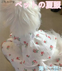 yzybg  L vghX ĕ ^ _炩yf ʋCɗD ^ɓK킢  U o _炩 XS