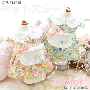 yzybg s[X tďH~ ^ ^ phbOEFA  Gv[ ^hXO₷t Lm