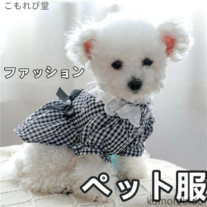 yzLps[XhX ybg tďHʋC_炩 у[XXJ[g ^ ^ L `FbN