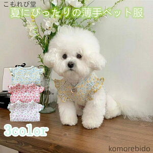 yzybg  ԕ t t  p[X  ₷ N[  ^ ^ Lp ̎q j̎q  UVJbg ėp