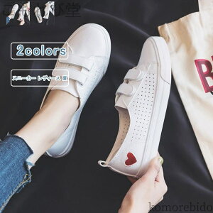 yzXb| n[g }WbNe[v [Jbg  X|[c b| r ʋC ₷ Ȃ Vv y ʋ ʊw  