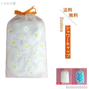 yzĝ100Zbg ̓ fBX|Lbv NA wAPA wAJ[ Vv[ y s   e@