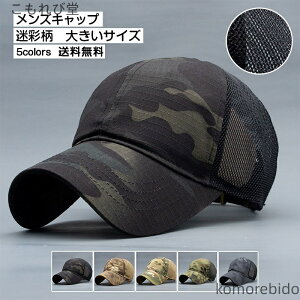 yzΒ bV X|[c YLbv  ʕ   傫TCY Jt St ėp nbg AEghA Xq