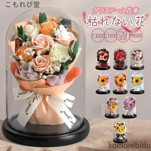 yza {̉ [Y zCgf ͂Ȃ ԑ  t[ v[g KXh[ 