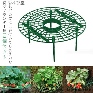 yzx v^[ C`S ͔|I C`S |x cI 10cm 10Zbg xI xI I v^[I