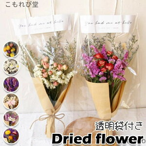 yz v[g hV̓  i` ̓   ܕt ꂢ ԑ sv Iׂ13F