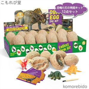 �y���������z���� �������� �w�K�ߋ� �m��ߋ� �����ߋ �q���������� �a�����M�t�g ���ǂ��̓� �N���X�}�X �v���[���g