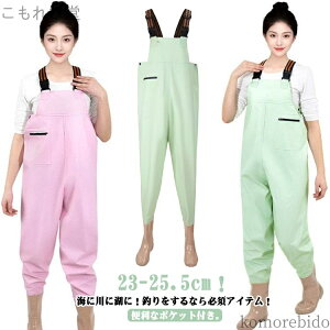 yz ނ C u[c tC tC _ fB[X Sh kނ EF[_[