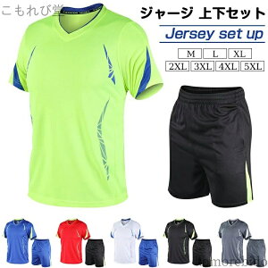 yzTVc jOEFA X|[cEFA z  ̓ 傫TCY ㉺ Y W[W