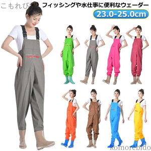 yz C fB[X Y d EF[_[ C ނ tC  d t