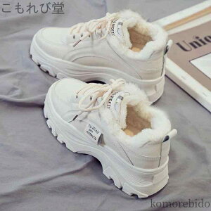 yz 킢 Sc ؍ x[W   fB[X V[Y nCeNXj[J[ _bhXj[J[ Xj[J[