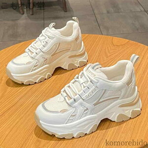 yzXj[J[ bV  nCeNXj[J[  ʋC fB[X X|[eB[ _bh t  Sc