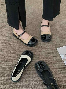 yzv ؂ PU  fB[X [t@[ C 킢 F [q[ pvX oCJ[  Gi V[Y