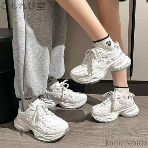 yz _bhXj[J[ jp fB[X yA  Xj[J[ U[ C V[Y  N p Y zCg