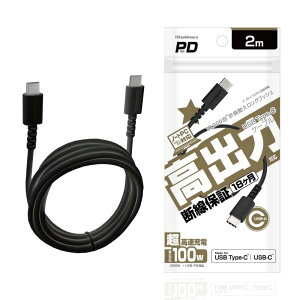 JV USB PD100W[dɑΉ USB Type-C to Type-CP[u USB[dP[u 2m NAJ-675
