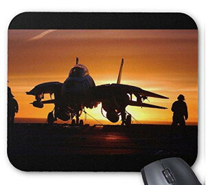 퓬@ F-14 gLbg̃}EXpbhFtHgpbhiE̐퓬@V[Yj