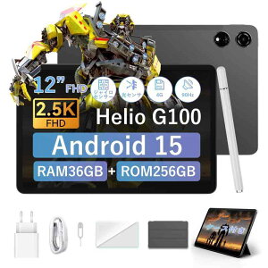 �y�O�N G100���� 12�C���` 90Hz 2.5K �^�u���b�g�zBlackview