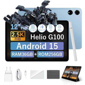 �y�O�N G100���� 12�C���` 90Hz 2.5K �^�u���b�g�zBlackview