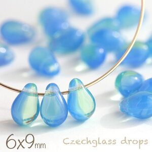 `FRr[Y hbv 6×9mm oCJ[ u[Ip[×XvOO[ 20   `FRKX ANZT[p[c ޗ r[Y p[c  sAX  