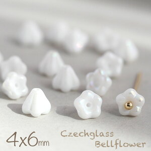 `FRr[Y xt[ 4×6mm `[NzCgI[ 20   t[ ANZT[p[c nhCh p[c sAX CO | f