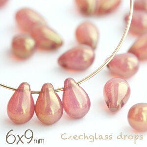 `FRr[Y hbv 6×9mm zCgIp[[YX^[ 20  `FRKX [Y sN  p[v ޗ r[Y p[c  sAX