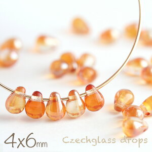 `FRr[Y hbv 4×6mm NX^IWZVA 30 ANZT[p[c   `FRKX IW NA nhCh ޗ f r[Y p[c  sAX