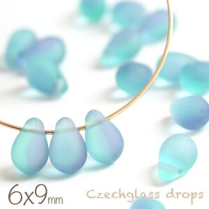 `FRr[Y hbv 6×9mm tXg oCJ[ Ghu[×AWXg 20  `FRKX O[   p[v ޗ r[Y p[c  sAX