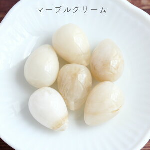 ЌANhbv`[ 18×13mm }[u 6   ANZT[p[c nhCh    sN O[ | sAX CO 