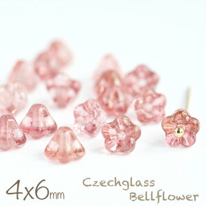 `FRr[Y xt[ 4×6mm [YX^[ 20  t[ ANZT[p[c nhCh p[c sAX CO | f