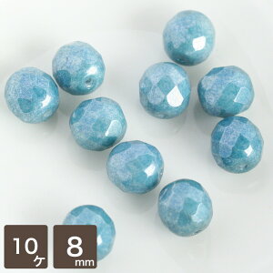 `FRr[Y FP t@C[|bV 8mm `[NzCg^[RCYX^[ 10 `FRKX r[Y p[c sAX ANZT[p[c