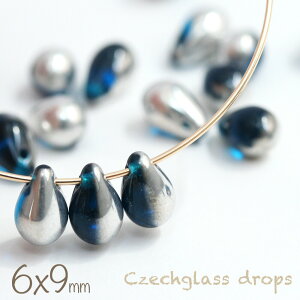 `FRr[Y hbv 6×9mm Jvu[n[tVo[ 20  `FRr[Y u[  Vo[ ޗ r[Y p[c  sAX