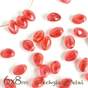 `FRr[Y y^ 6×8mm _[NsN}[u 20  Ԃт ANZT[p[c nhCh p[c sN  sAX CO