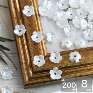 ANp[c zCgԃr[Y 8mm 200  t[  r[Y  AN | ANZT[p[c nhCh p[c sAX CO