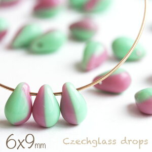 `FRr[Y hbv 6×9mm oCJ[ Iy[NsN×Iy[NXvOO[ 20   `FRKX ANZT[p[c ޗ r[Y p[c  sAX 