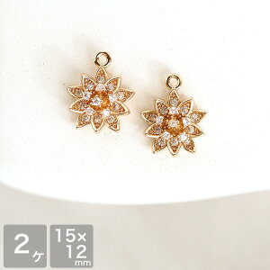 ANZT[p[c L[rbNWRjA t[`[ No.12 S[h 2  LL ^`[ ^p[c | p[c sAX CO nhCh 