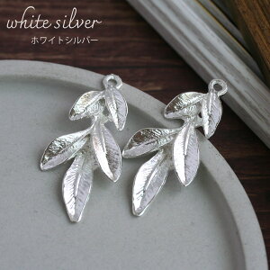 ^`[ 5[t S[h zCgVo[ 2 ^p[c ANZT[p[c nhCh f | sAX t A