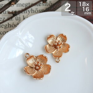 ^p[c ̓Iȍ`[ S[h 2 ANZT[p[c sAX CO  nhCh ޗ  t[ 