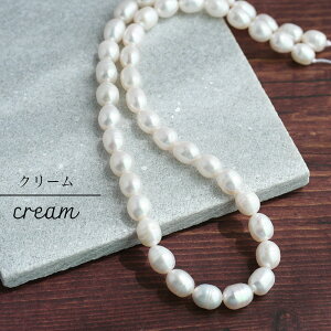 Wp[ r[Y 7-8mm 1A N[ [Y s[` ANZT[p[c W^ VRf e  nhCh r[Y sAX lbNX ޗ f