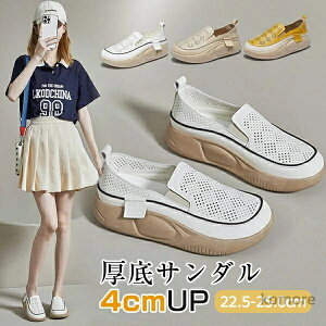 yzXb| fB[X Xj[J[ EhgD 胍[t@[   JWAV[Y 4cmq[ Od