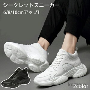 yzV[NbgV[Y 6/8/10cmAbv V[NbgXj[J[ Y fB[X Xj[J[ Cq[Xj[J[