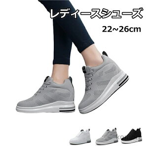 yz Xj[J[ fB[X  V[Y lC C fB[X V[NbgV[Y ^C wlC ₷ ꂢ