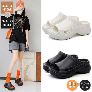 yzT_ fB[X Xbp 5cmq[  T_  O [V[Y L ؍t@bV T_ 