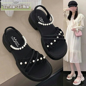 yzfB[X  T_ ̎q T}[ T_  Xj[J[T_ gAbv T_ X|[cT_ L