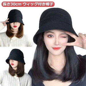 yzѕtXq ѕtXq XqtEBbO Xg[g EBbOtXq  EBbOt ×p oPbgnbg