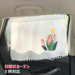 yzTVF[h TCh zՎ ՔMՌ ToCU[ J[e Ă~ vCoV[ی J[e  