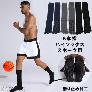 yz3Zbg Y K\bNX ܖ{w N[ \bNX ~ C KEFA zbg  seBX 